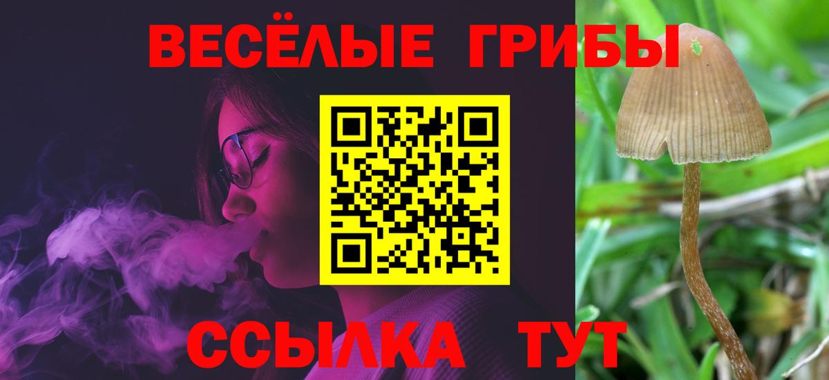 Псилоцибиновые грибы мухоморы Рыбинск